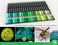 TOOLI-ART Acrylic Paint Pens 22 Green Tones Assorted Pro Color Series Markers Set 0. 7mm Extra Fine Tip for Rock Painting, Glass, Mugs, Wood, Metal, Canvas, DIY Projects, Non Toxic, Waterbased, Quick
