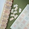 DiverseBee Laminated Bible Tabs (Large Print, Easy to Apply, Bible Tabs Old and New Testament, Bible Study Journaling Supplies, Bible Accessories, Bible Index Tabs, 72 Bible Book Tabs (Amber.