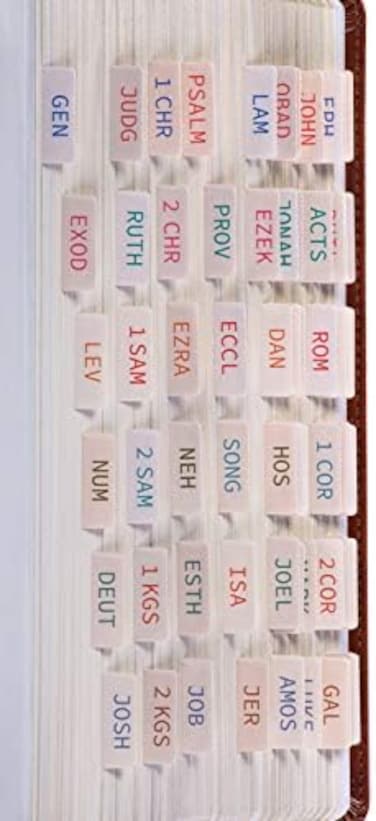 DiverseBee Laminated Bible Tabs (Large Print, Easy to Apply, Bible Tabs Old and New Testament, Bible Study Journaling Supplies, Bible Accessories, Bible Index Tabs, 72 Bible Book Tabs (Amber.