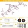 Danti Front Mount Hydraulic Steering Cylinder Seal Kit with Pin Wrench Compatible with HC5340, HC5341, HC5342, HC5343, HC5344, HC5345,HC6750, HC6751 etc. Fits for HS5157 SeaStar Pivot/Front Mount Cyli