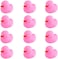 umbresen Pink Rubber Ducks Preschool Bath Toys Bathtub Duckies Gift for Baby Shower Infants Toddlers Car Pool Float Halloween Adults Party Favors Carnival Decorations (Small Pink 2. 2''-12pcs.