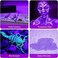 COSOOS 2 Pack UV Flashlight, 12 LED Handheld Blacklight Flashlight 395nm Mini Light Torch Detector for Dog Pet Urine Stains, Bed Bugs and Scorpions. (Batteries not Included.