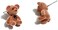 Pingyongchang 3 Pairs Kawaii Funny Plush Bear Stud Earrings Cute Cartoon Animal Bowknot Bear Earring for Women Fashion Jewelry.