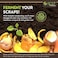 SCD Probiotics All Seasons Bokashi Compost Starter 5 lbs (2 Gallon- Dry Bokashi Bran for Kitchen Compost Bin - Compost FoodPet Waste QuicklyEasily with Low Odor by SCD Probiotics.