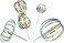 SENSORY4U Rainbow Twirler Stick - 4 Pack - Magic Party Bubble Wand - Spin Twirl Swirl and Dazzle - Fun Addicting Party Favor.
