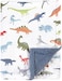 Hudson Baby Unisex Baby Plush Mink and Sherpa Blanket, Dinosaurs, One Size.