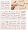 OOUUREC 80 Rose Gold Cash-Envelope Budget Category Stickers - Modern Vinyl Decals, Budget Binder LabelsWallet Organizer.