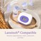 Lansinoh ComfortFit Breast Pump Flanges, 2 Count 28mm.