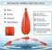 Skylety Fishing Practice Plug Fishing Casting Plug Baitcasting Rubber Practice Plug Suitable for Kids Improving Casting Skill, 6 Sizes.