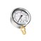 ELECALL 200psi Silicone Oil Filled Pressure Gauge for Water Oil Air Pressure Test in Pool Pump Sand Filter Air Compressor Water System, 2-1/2" Stainless Steel Case, Lower Mount 1/4" NPT.