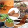 Ayybf Coco Liner,24x39. 4 inch Wall Basket Planter Liner, Coco Liner Roll Hanging Basket Pad Garden Plants Wall Planter Flowerpot Basket Coco Fiber, Durable Coconut Husk for Planting.