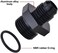 EVIL ENERGY 6AN Flare to AN8 ORB Male O-Ring Fitting Adapter 2PCS.
