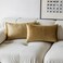 Demetex Gold Throw Pillow Covers Super Soft Velvet Pillows Lumbar Modern Rectangle Decorative Bed Pillow Cover for Couch Patio, Set of 2, 12x20 inches, Gold.