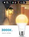 Aovpex Dusk to Dawn Light Bulbs 4 Pack, Outdoor 13W Ultra Bright(100W Equivalent, A19 E26 2700K Soft White Lightbulb Built-in Smart Photocell Sensor, Auto ON/Off Bulb for Porch, Garage, Front Door, Pa