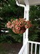 Tingmei 20 Inch Round Coco Fiber Replacement Liner for Hanging Basket (2 Pieces of Pack.