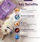 بروبيوتيك iHeartDogs 3 في 1 للكلاب مع اليقطين لتحسين الهضم وصحة الأمعاء - بروبيوتيك وإنزيمات هضمية للكلاب، 90 حبة.