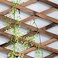 CALIDAKA Wooden Trellis Expandable Plant Trellis Garden Trellis for Climbing,Hanging Wooden Plant Trellis Frame Trellis Fence Support for Climbing Vines Flowers Wall Decor for Patio Garden.