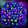 Skylety 50 Pcs Glow in The Dark Balloons Neon Balloons Decoration Neon Party Supplies UV Blacklight Latex Balloons 12 Inch Reactive Fluorescent Mini Polka Dots Balloons for Neon Glow Party (Transparen