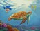 GoodDay Puzzles 16 Large Piece Jigsaw 'Aquamarine'Dementia/Alzheimer's Activities for SeniorsEasy Puzzle for AdultsGifts for The Elderly.