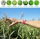 parakito Mosquito Repellent BraceletsRefill Pellets Bundlew/Peppermint Oil, Essential OilsHikingCamping AccessoriesParaben Free, DEET Free - 2 Wristbands2 Refills (BlackConceal.