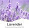 Air Jungles Lavender Zen Scent Car Air Freshener Clip, 6 Car Freshener Vent Clips, 4ml Each, Long Lasting Air Freshener for Car, Up to 180 Days Car Refresher Odor Eliminator.
