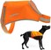 سترة SafetyPUP XD Lite للكلاب. تغطي منتصف الظهر. نسيج عاكس عالي الوضوح بلون برتقالي فسفوري يساعد على إبقاء الكلب في مجال الرؤية وسلامته سواء كان مقيدًا أم لا.