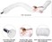 Funcredible White Cat Ears and Tail - Furry Cat Costume - Kitten Anime Neko Ears - Cat Halloween Costumes for Woman Girls Adult Kids.