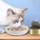 SLSON Cat Slow Feeder Bowl,Ceramic Slow Feed Cat Bowls Heavy and Shallow Wisker Stress-Free Pets Dish for Kittens Small Pets Wet Food,White.