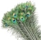 MWOOT 50Pcs Peacock Feathers, Green Peacock Eye Feathers for DIY Crafts Art, Peacock Tail Feathers for Carnival Revelry Masquerade Costume Wedding Holiday Party Decoration (28-32CM.