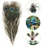 MWOOT 50Pcs Peacock Feathers, Green Peacock Eye Feathers for DIY Crafts Art, Peacock Tail Feathers for Carnival Revelry Masquerade Costume Wedding Holiday Party Decoration (28-32CM.