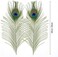 MWOOT 50Pcs Peacock Feathers, Green Peacock Eye Feathers for DIY Crafts Art, Peacock Tail Feathers for Carnival Revelry Masquerade Costume Wedding Holiday Party Decoration (28-32CM.