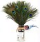 MWOOT 50Pcs Peacock Feathers, Green Peacock Eye Feathers for DIY Crafts Art, Peacock Tail Feathers for Carnival Revelry Masquerade Costume Wedding Holiday Party Decoration (28-32CM.