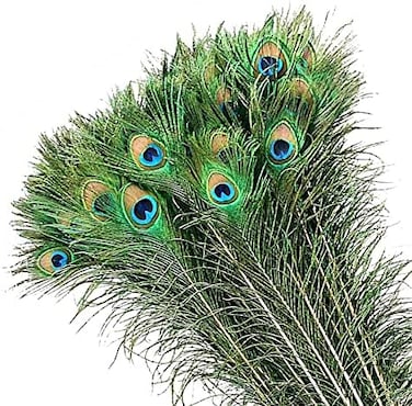 MWOOT 50Pcs Peacock Feathers, Green Peacock Eye Feathers for DIY Crafts Art, Peacock Tail Feathers for Carnival Revelry Masquerade Costume Wedding Holiday Party Decoration (28-32CM.