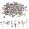 pengxiaomei 80 Pieces Natural Flower Stickers for Scrapbooking, Self-Adhesive Scrapbooking Stickers Supplies Journal stocking stuffers for Adult Card Making Letters DIY (Style A.