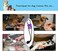MESINURS Pet Tournique - Quick Release First Aid for Dog Canine Cats Animal, 5 pcs (Purple.