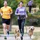 SHINE HAI Retractable Hands Free Dog Leash with Dual Bungees for 2 Dogs, Adjustable Waist Belt Fanny Pack, Reflective Stitching Leash for Running Walking Hiking Jogging Biking Black.