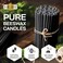 Danilovo Pure Beeswax Candles - No-Drip, Smoke-Less, Tall, Thin Taper Candles &ndash; Decorative Candles for Church Prayer, Decor or Birthday Candles &ndash; Honey Scented Candles &ndash; 6. 4&rdquo;x0. 22&rdquo; (Black, 50pcs.