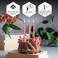 Danilovo Pure Beeswax Candles - No-Drip, Smoke-Less, Tall, Thin Taper Candles &ndash; Decorative Candles for Church Prayer, Decor or Birthday Candles &ndash; Honey Scented Candles &ndash; 6. 4&rdquo;x0. 22&rdquo; (Pink, 50pcs.