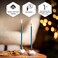 Danilovo Pure Beeswax Candles - No-Drip, Smoke-Less, Tall, Thin Taper Candles &ndash; Decorative Candles for Church Prayer, Decor or Birthday Candles &ndash; Honey Scented Candles &ndash; 6. 4&rdquo;x0. 22&rdquo; (Blue, 50pcs.