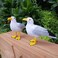 Etistta 2PCS Realistic Seagull Life Like Feathered Sea Gull Handmade 10 inch Fake Seagulls Birds for Home Decorations Garden Nautical Decor.