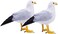 Etistta 2PCS Realistic Seagull Life Like Feathered Sea Gull Handmade 10 inch Fake Seagulls Birds for Home Decorations Garden Nautical Decor.