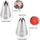 Bmaacye Large Icing Piping Tips Set for Cake Decorating,6 Decorating Tips Stainless Steel Pastry Tips,Flower Frosting Tips Nozzles,1M 2A 2D 2F 6B 234.