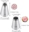 Bmaacye Large Icing Piping Tips Set for Cake Decorating,6 Decorating Tips Stainless Steel Pastry Tips,Flower Frosting Tips Nozzles,1M 2A 2D 2F 6B 234.