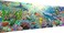 YALKIN 5D Diamond Painting Kits for Adults DIY Large Dolphin Full Round Drill (35. 4x11. 8inchCross Stitch Embroidery Pictures Arts Paint by Number Kits Diamond Painting Kits for Home Wall Decor.