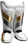 Hayabusa T3 Striking Shinguards.