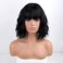 MISSQUEEN Short Wavy Black Wig with Bangs, Short Black Bob Wigs for Women, Wavy Bob Wig with Bangs Synthetic Natural Looking Heat Resistant Fiber Wigs.