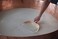 rennet ideal Microbial Liquid Coagulant 30mladd 2ml per 1 gallon of milk.