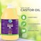 Us+ 100% Pure Castor Oil - Cold-pressed, Unrefined, Hexane-free - Premium Quality - USP Grade (1 Gallon.