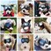 Namsan Dog Goggles for Small Dogs, Wide Nose, Soft Frame, Anti-UV Tactical Doggie Sunglasses Small to Medium Breed, Outdoor Driving Dog Eye Protection Adjustable, Silver Lens.