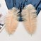 Ballinger Champagne Ostrich Feathers Bulk - 24pcs 10-12inch Boho Feathers for vase and Home Decor Wedding Party Centerpieces.